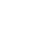 El mejor servicio de Eliminación de insectos﻿ Alvato Luxury Detailing