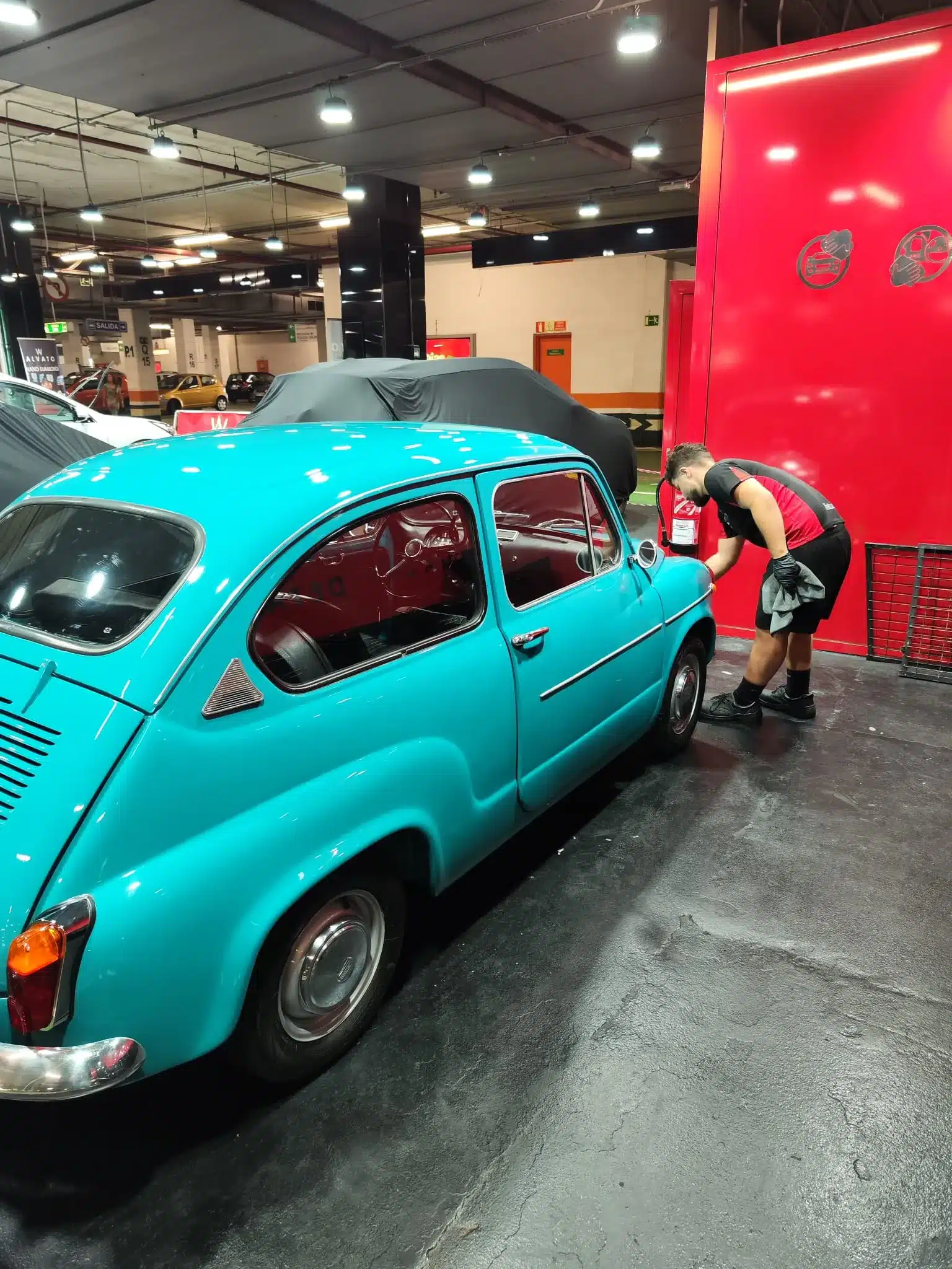 Servicios detailing alvato