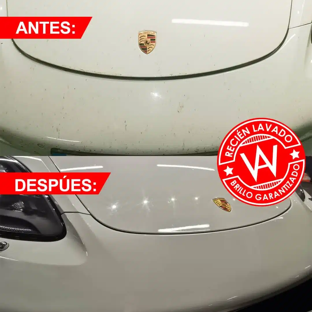 Imagen de WhatsApp 2024-05-13 a las 07.12.39_ac13a856