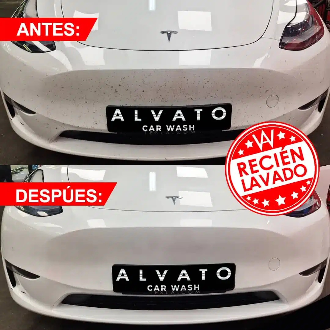 Imagen de WhatsApp 2024-05-13 a las 07.12.39_c21e41b7