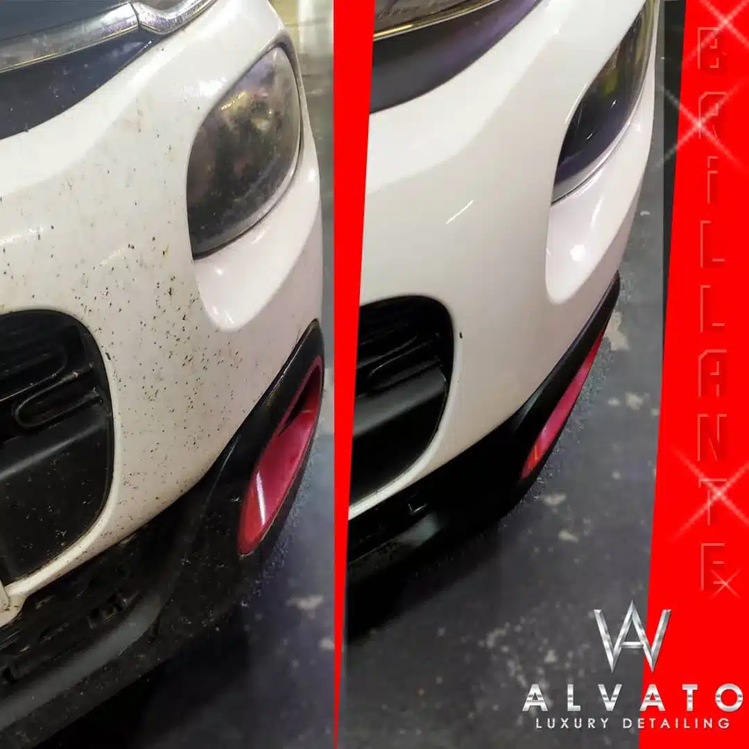 Imagen de WhatsApp 2024-05-13 a las 07.12.39_c2a41132