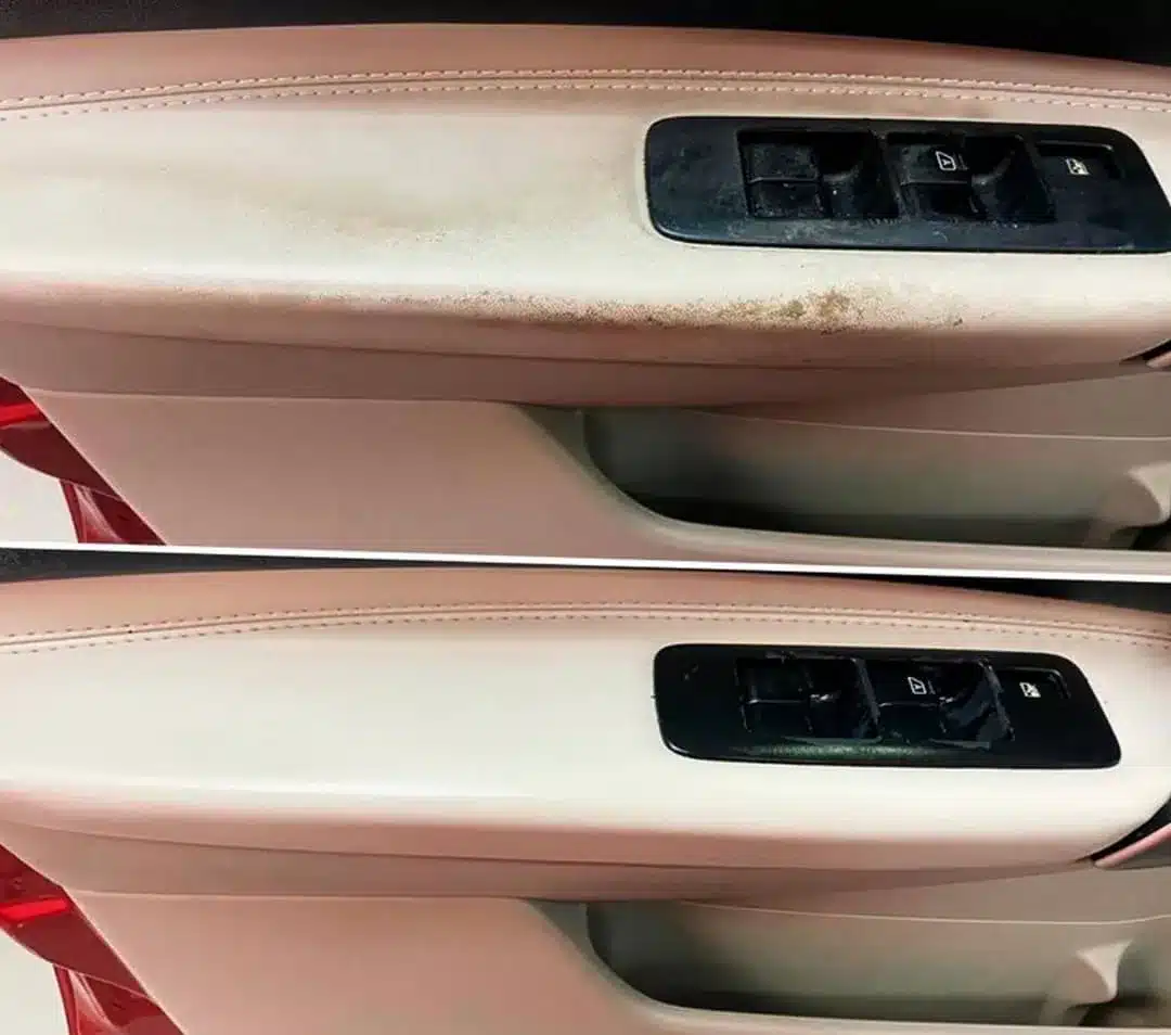 Imagen de WhatsApp 2024-05-13 a las 07.39.30_ec8cb8ae