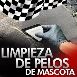 Limpieza de Pelo de Mascota