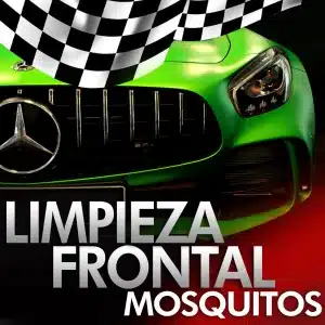 Limpieza Frontal Mosquitos