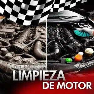 Limpieza de Motor